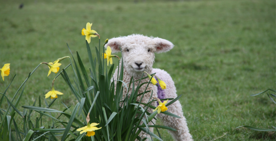 Green and gorgeous Easter days out