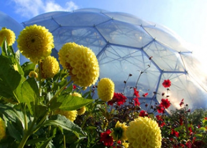 The Eden Project