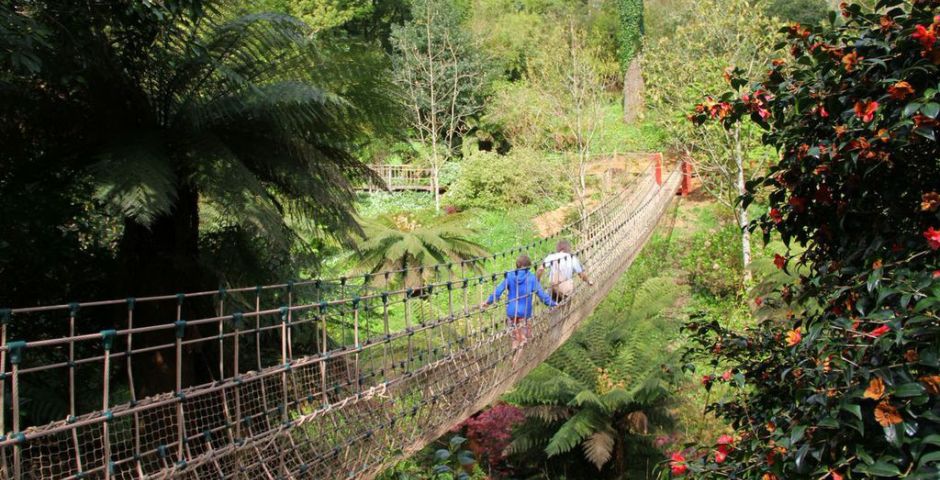 Rope Bridge at Lost Gardens of Heligan