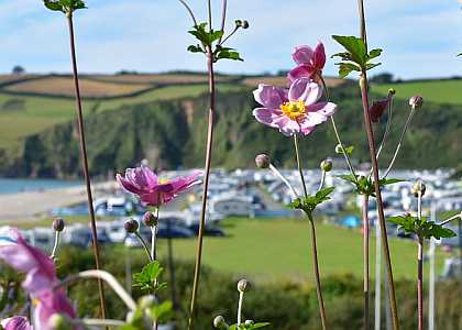 How to reduce your plastic waste on holiday